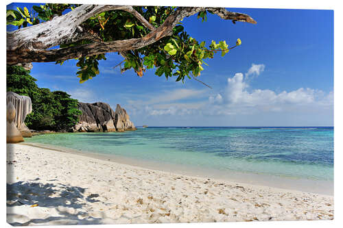 Quadro em tela Wonderful Beach of the Seychelles