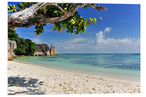 Foam board print Wonderful Beach of the Seychelles