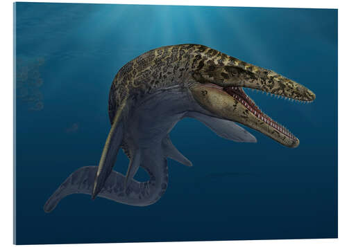 Cuadro de metacrilato Mosasaurus hoffmanni in prehistoric waters