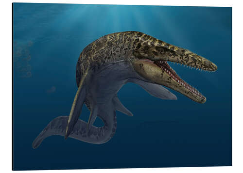 Quadro em alumínio Mosasaurus hoffmanni in prehistoric waters