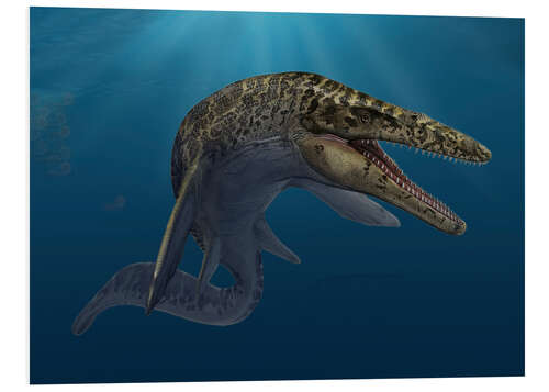 Foam board print Mosasaurus hoffmanni in prehistoric waters