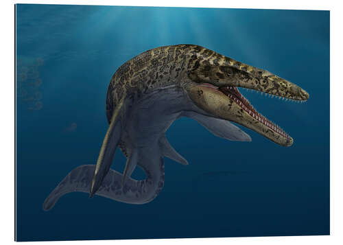 Quadro em plexi-alumínio Mosasaurus hoffmanni in prehistoric waters