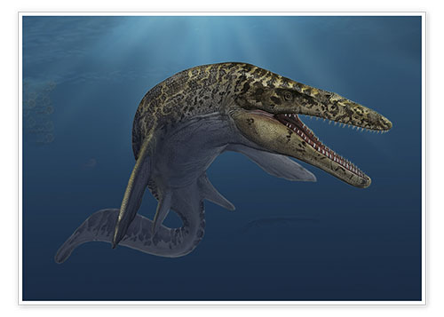 Poster Mosasaurus hoffmanni in prehistoric waters