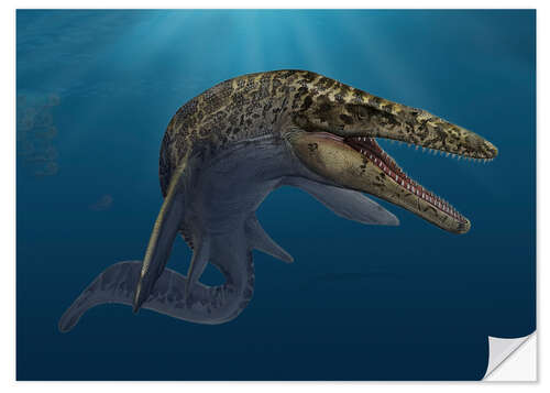 Vinilo para la pared Mosasaurus hoffmanni in prehistoric waters
