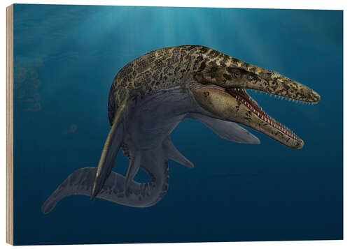 Wood print Mosasaurus hoffmanni in prehistoric waters