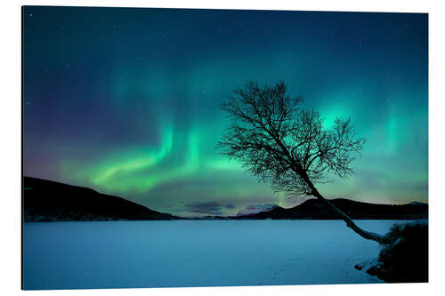 Alubild Nordlichter am Sandvannet-See