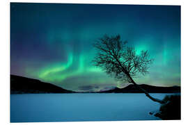 Foam board print Aurora Borealis at Sandvannet Lake