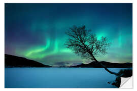 Wall sticker Aurora Borealis at Sandvannet Lake