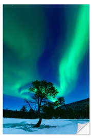 Naklejka na ścianę Aurora Borealis, Forramarka, Troms, Norway.