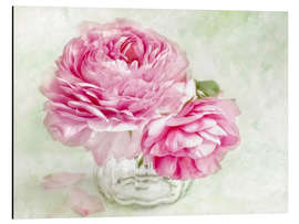 Aluminium print pink ranunculus