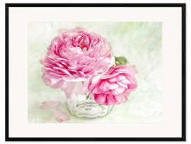 Framed art print pink ranunculus