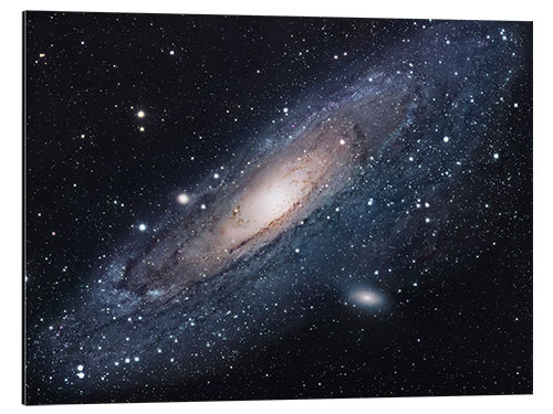 Aluminium print The andromeda galaxy