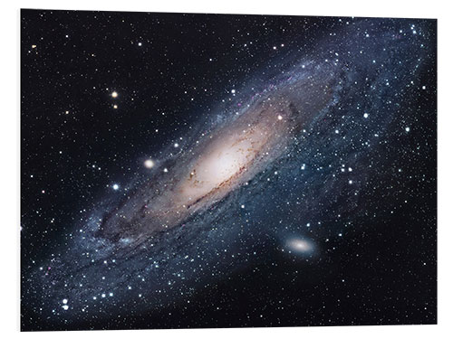 Foam board print The andromeda galaxy