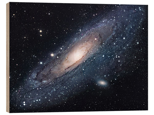 Wood print The andromeda galaxy