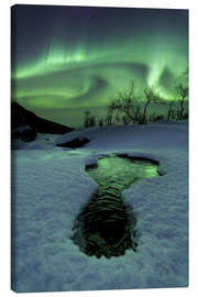 Leinwandbild Polarlichter über einen gefrorenen Fluss - Arild Heitmann