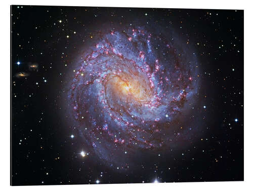 Aluminium print The Southern Pinwheel Galaxy