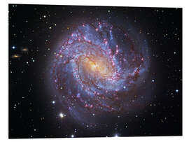 Foam board print The Southern Pinwheel Galaxy