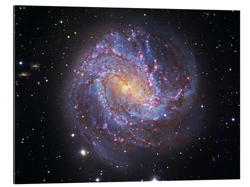 Gallery print The Southern Pinwheel Galaxy