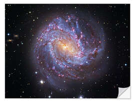 Wall sticker The Southern Pinwheel Galaxy