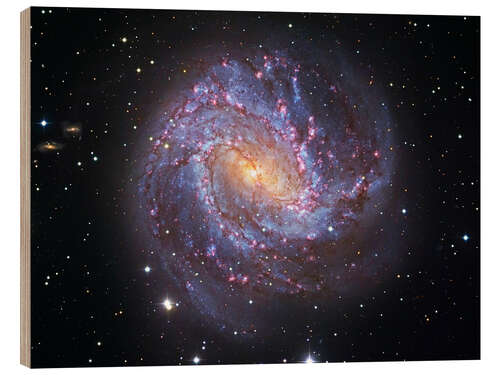 Wood print The Southern Pinwheel Galaxy