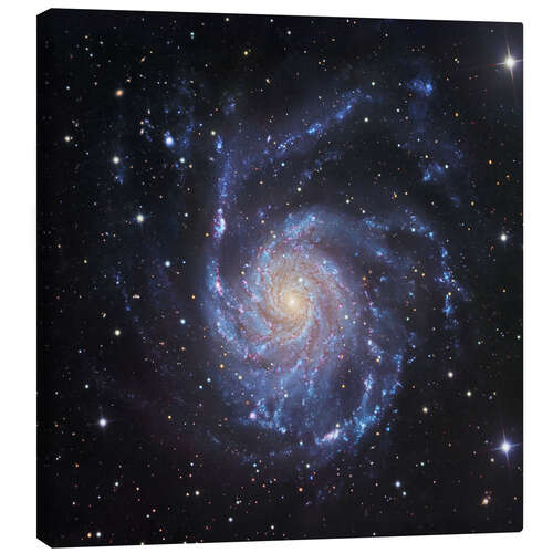 Canvas print M101, The Pinwheel Galaxy in Ursa Major