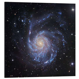 Gallery print M101, The Pinwheel Galaxy in Ursa Major