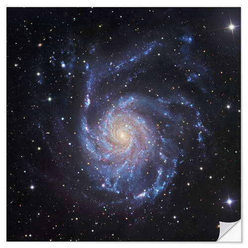 Wall sticker M101, The Pinwheel Galaxy in Ursa Major