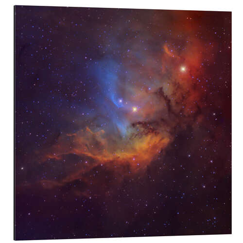 Stampa su alluminio The Tulip Nebula in Cygnus