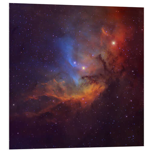 Foam board print The Tulip Nebula in Cygnus