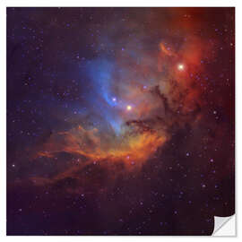 Muursticker The Tulip Nebula in Cygnus