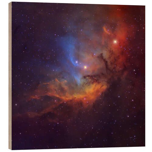 Wood print The Tulip Nebula in Cygnus