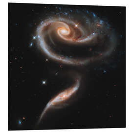 Foam board print Galaxies in Andromeda