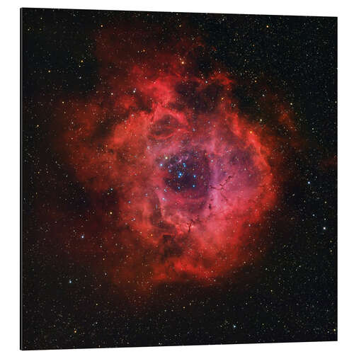 Aluminium print The Rosette Nebula