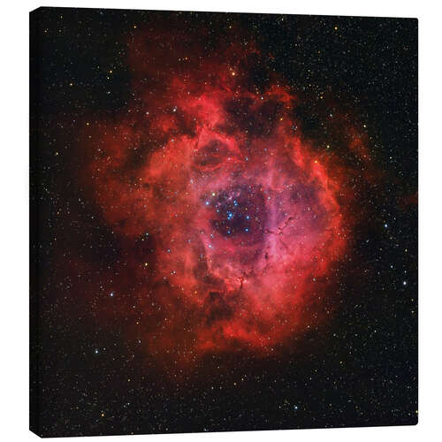 Canvas print The Rosette Nebula