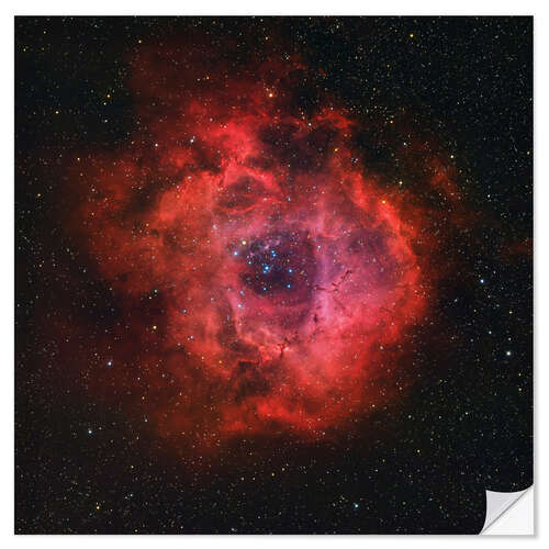 Naklejka na ścianę The Rosette Nebula