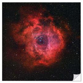 Vinilo para la pared The Rosette Nebula