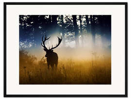 Gerahmter Kunstdruck Rothirsch im subtilen Licht