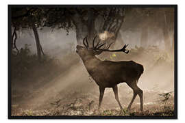 Gerahmter Kunstdruck Röhrender Hirsch am Morgen