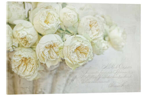 Akryylilasitaulu White roses