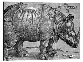 Aluminium print The Rhinoceros (detail)