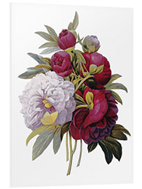 Foam board print Peonies I