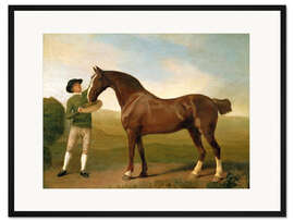 Gerahmter Kunstdruck Pfleger füttert ein braunes Jagdpferd