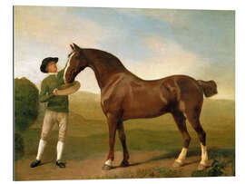 Gallery print Groom feeding a bay hunter in a landscape