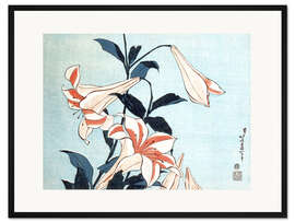 Gerahmter Kunstdruck Trompetenlilien