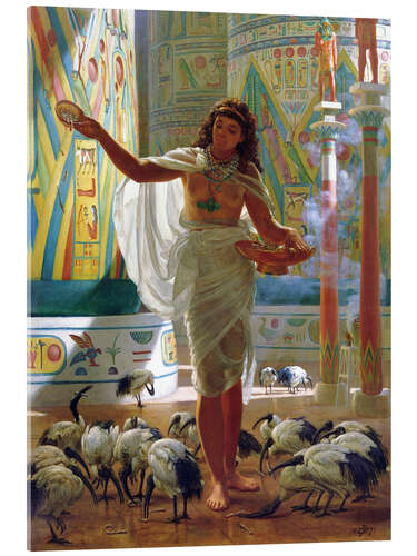 Acrylic print Holy Ibis in the halls of Karnac