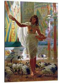 Magnettafel Heiliger Ibis in den Hallen von Karnac