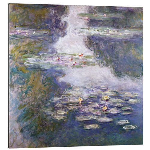 Aluminium print Waterlilies, Nympheas