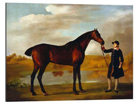 Quadro em alumínio Horse of the Duke of Marlborough