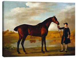 Canvas print  Horse of the Duke of Marlborough - George Stubbs