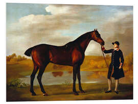 Foam board print Horse of the Duke of Marlborough